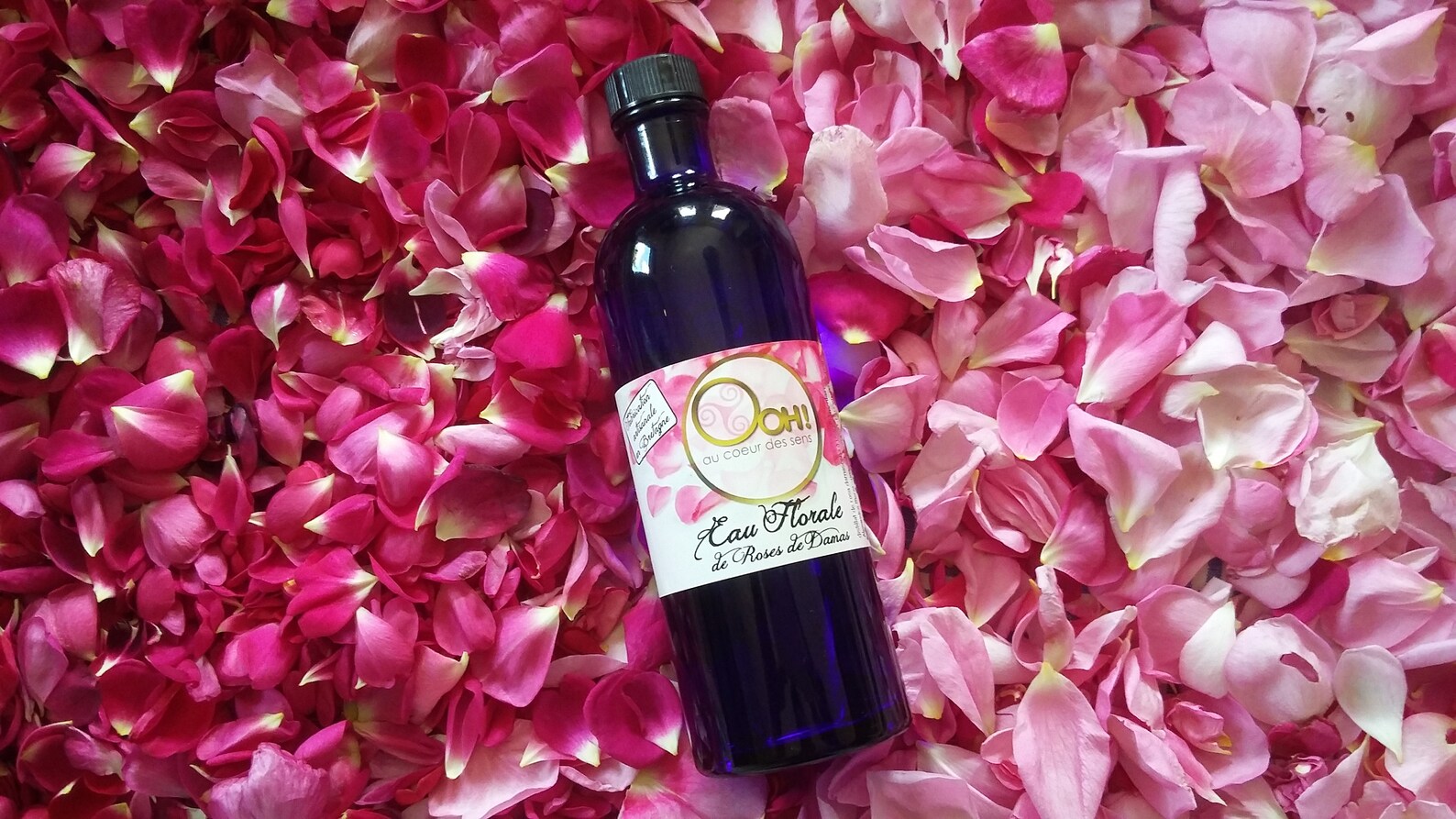 EAU DE ROSE DE DAMAS 100% PURE ET NATURELLE BIO PRODUITE EN BRETAGNE