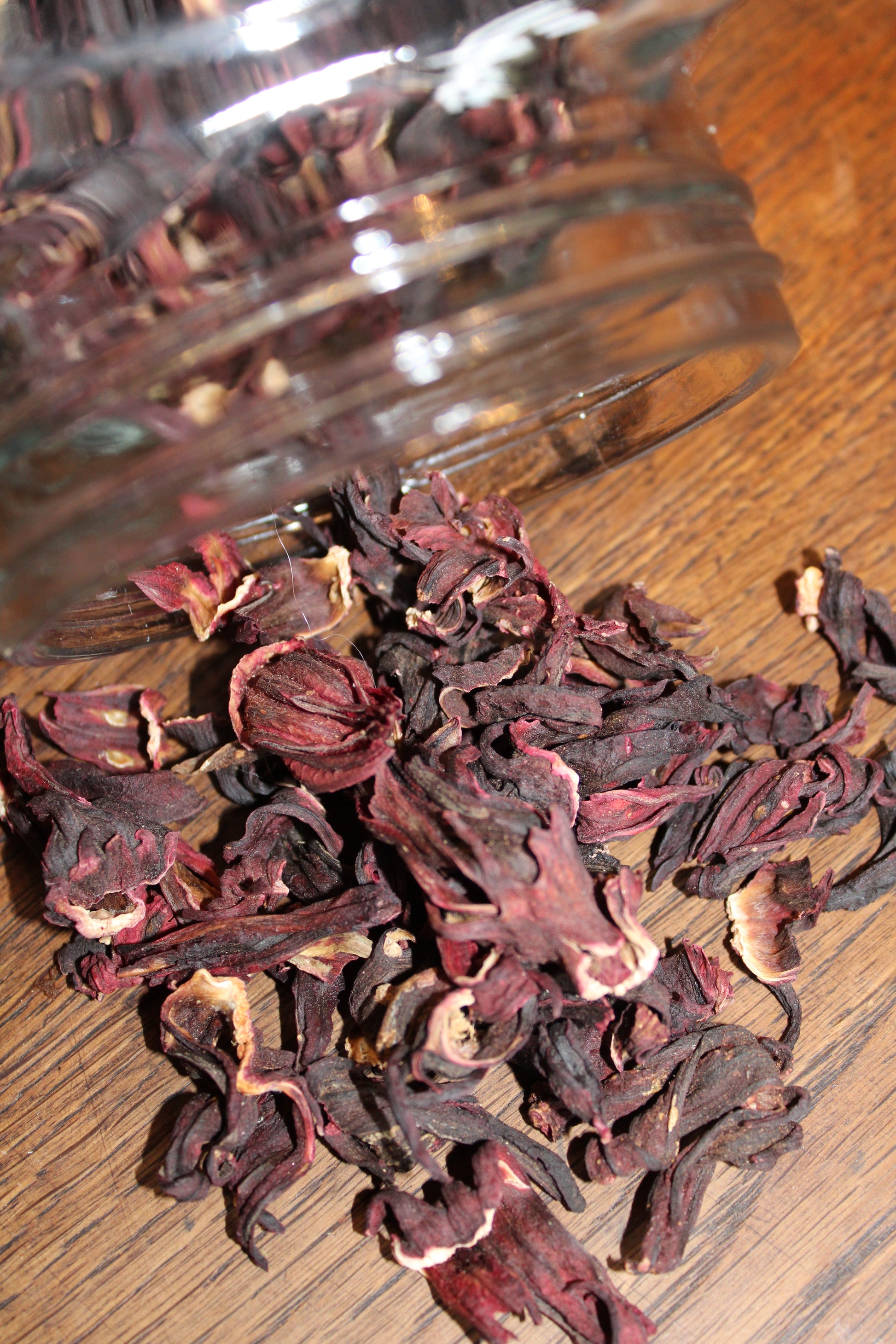 HIBISCUS FLEURS Hibiscus sabdariffa BIO