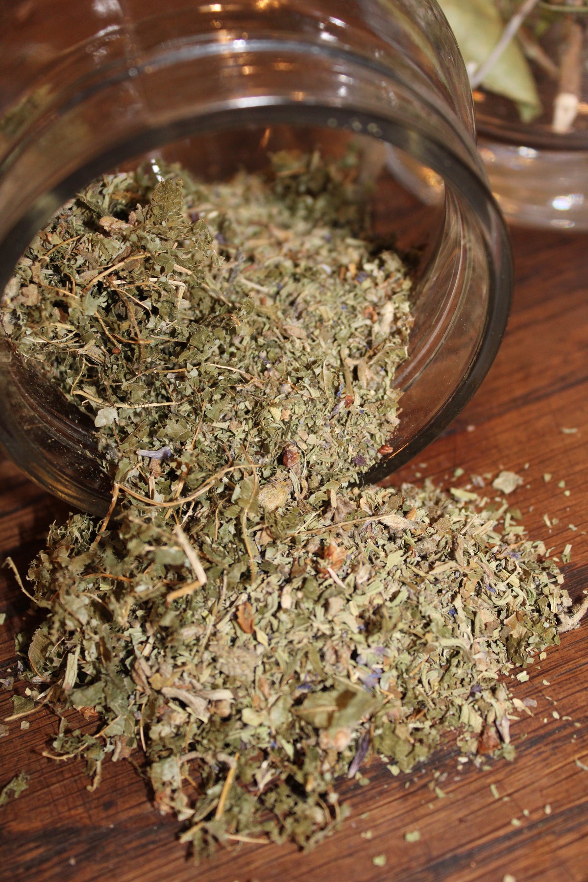 MELANGE PLANTES BRETONNES TISANE BIO - ANTI PARASITAIRE