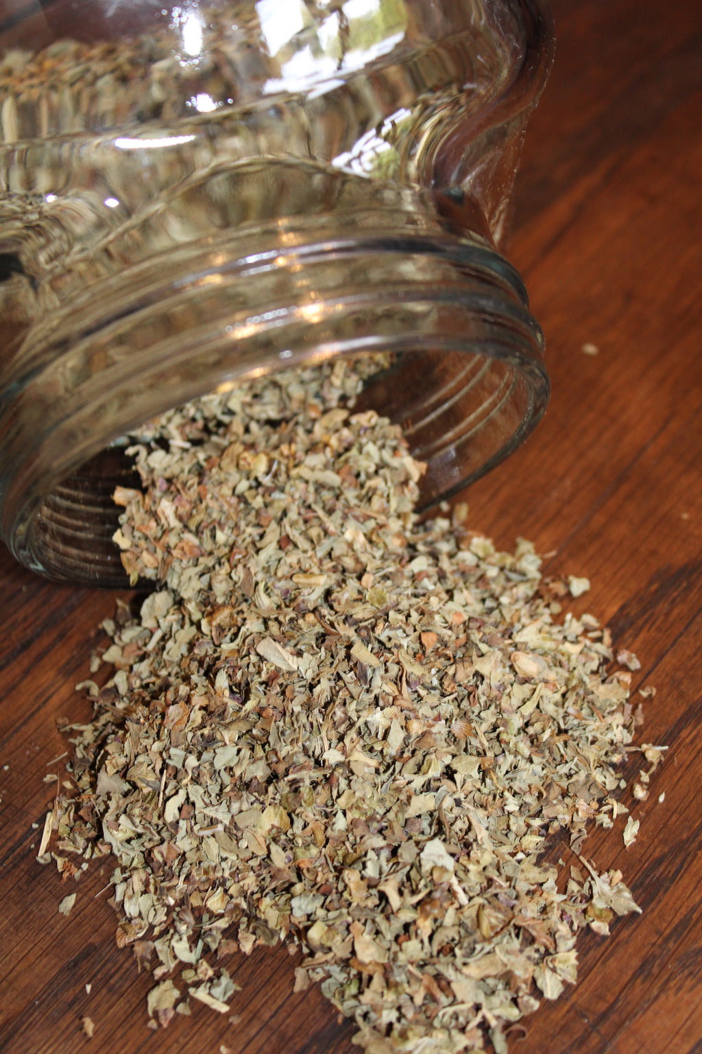 BASILIC FEUILLES Ocimum basilicum BIO