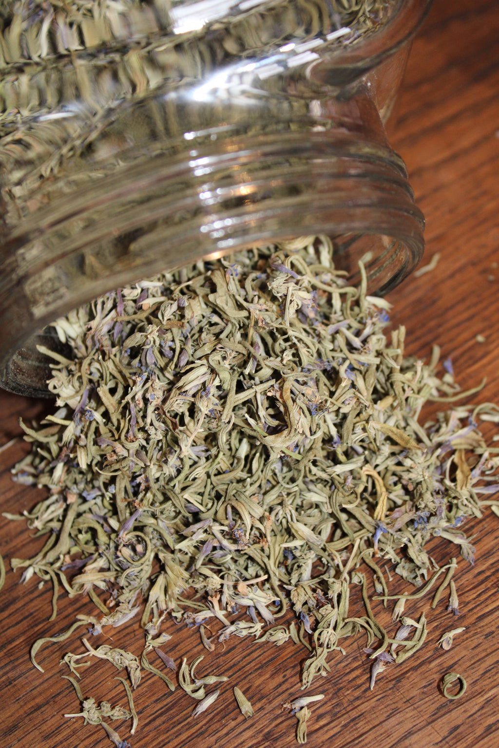 HYSOPE SOMMITES FLEURIES Hyssopus officinalis BRETAGNE BIO