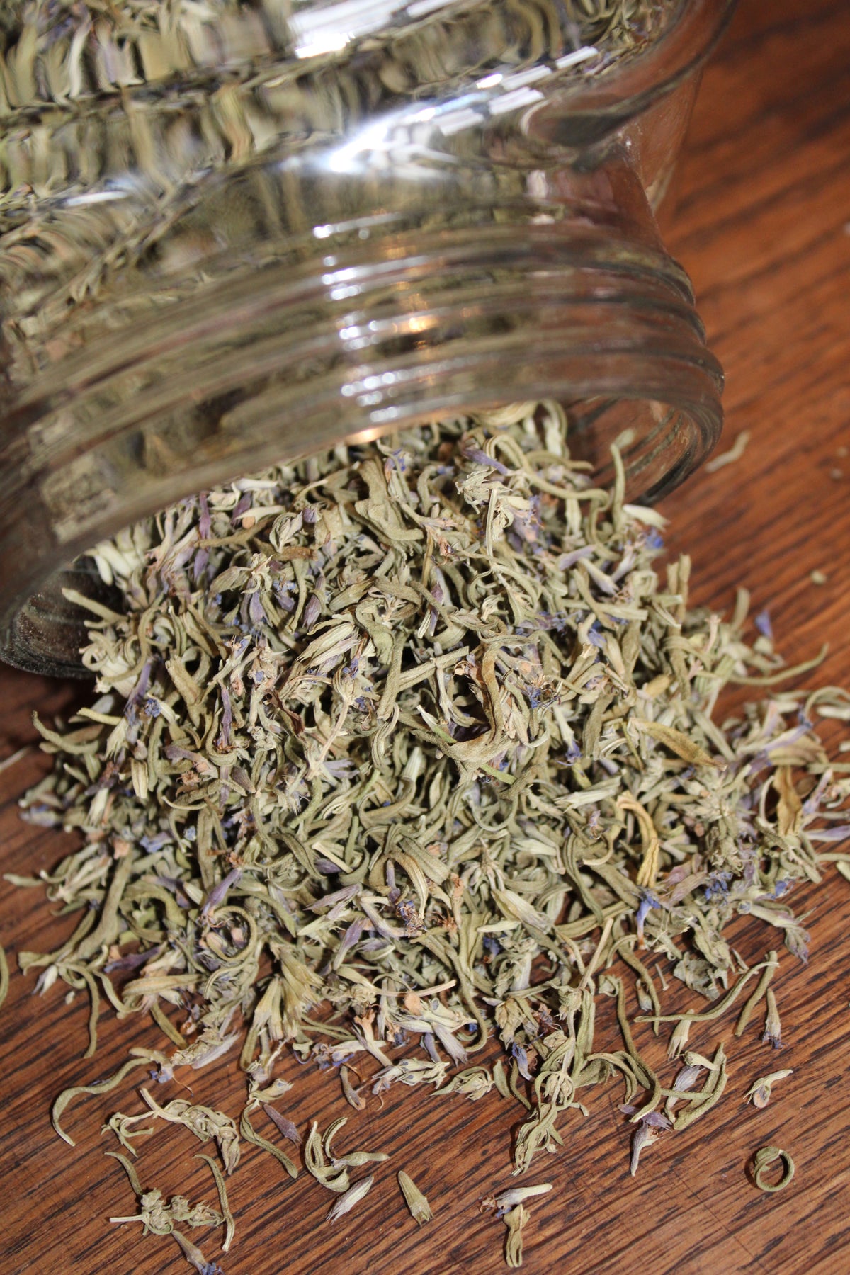 HYSOPE SOMMITES FLEURIES Hyssopus officinalis BRETAGNE BIO