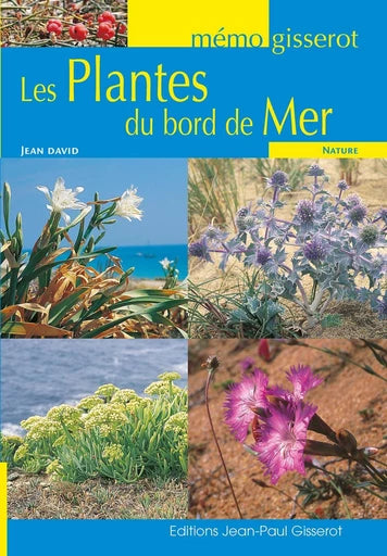 LES PLANTES DE BORD DE MER