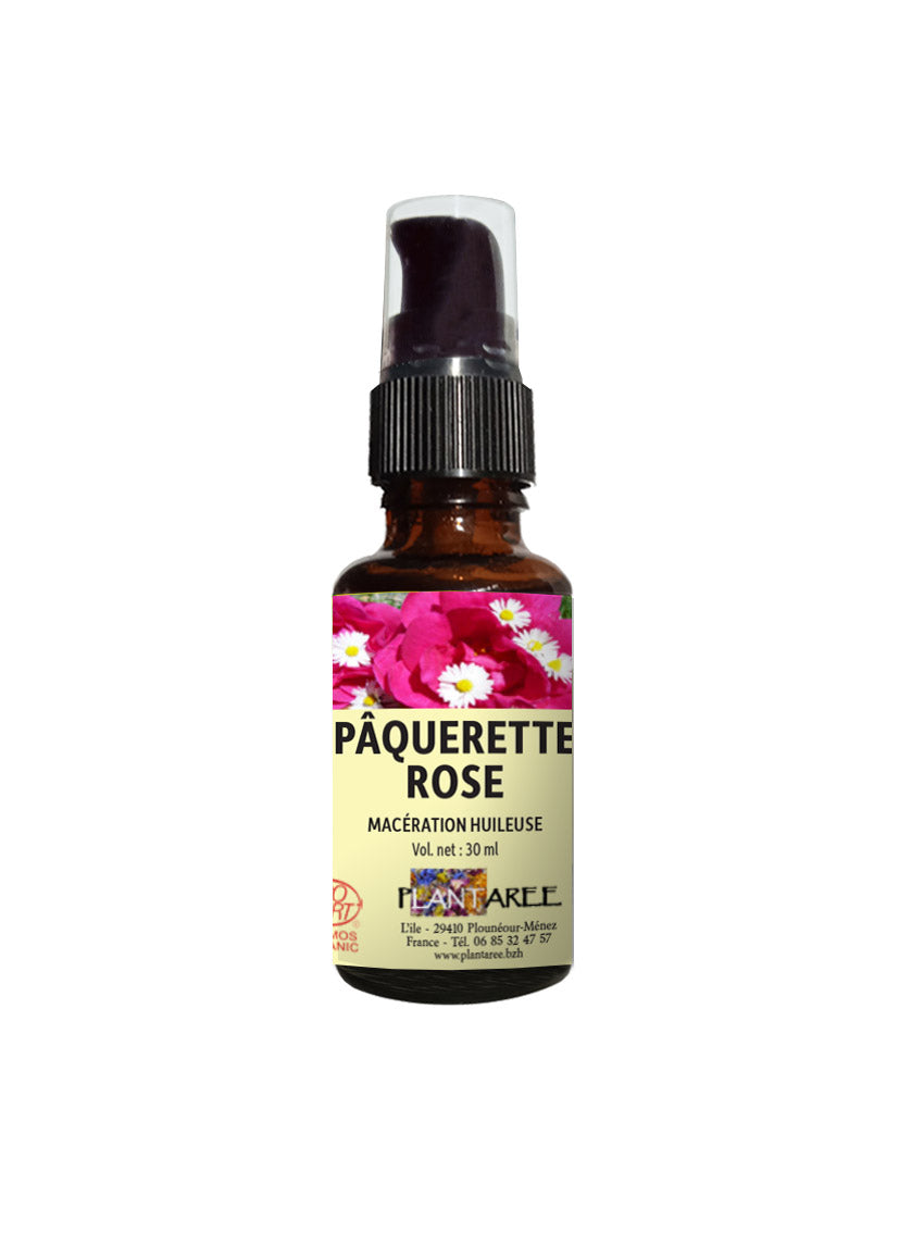 HUILE DE SOIN ANTI VIEILLISSEMENT et PEAUX GRASSES Pâquerette Rose BIO BRETAGNE