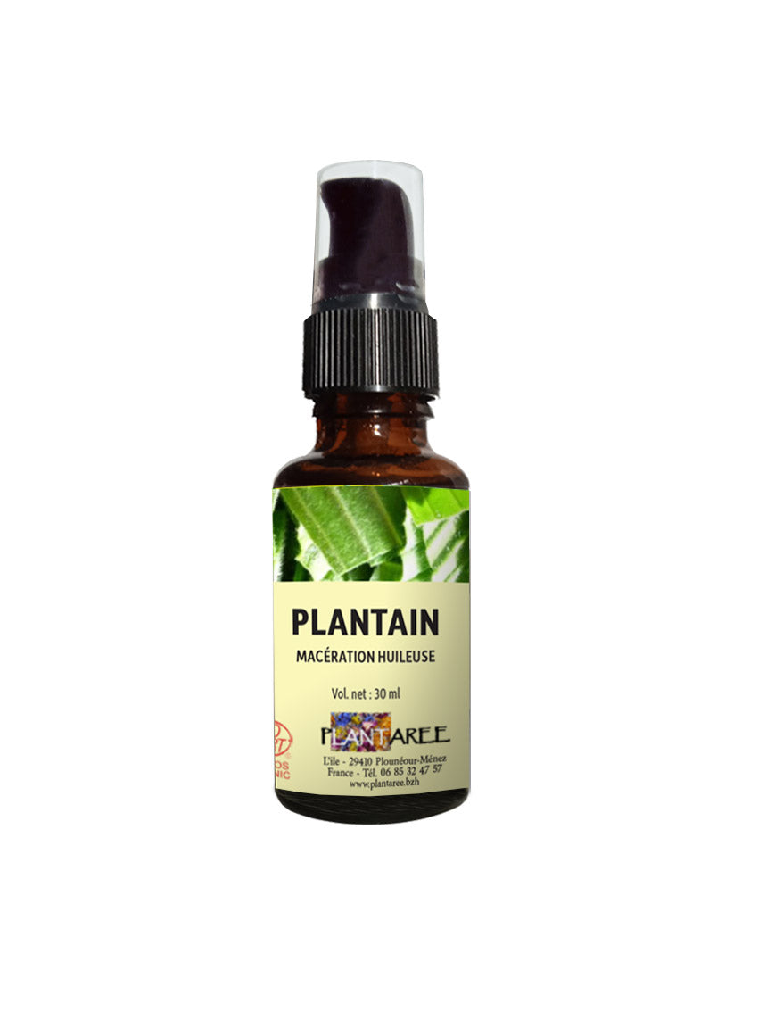 HUILE DE SOIN ALLERGIES PIQURES IRRITATIONS Plantain BIO BRETAGNE