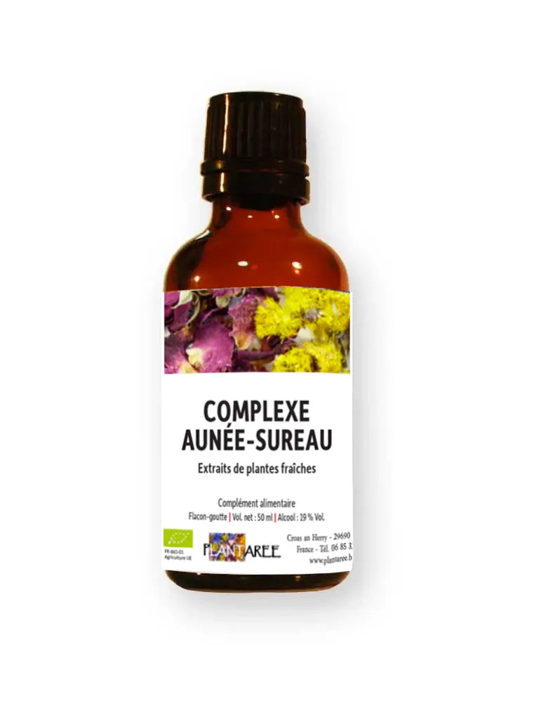 COMPLEXE HYDRO-ALCOOLIQUE Maux d'hiver BIO BRETAGNE
