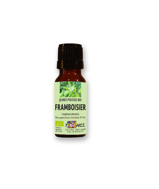 BOURGEON DE PLANTE BRETONNE BIO - FRAMBOISIER Rubus idaeus